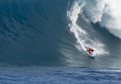 Surfing The Waves Of Web Design: Career Coaching Tips For Aspiring Designers In Maui